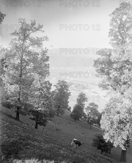 Asheville, N.C., between 1895 and 1910. Creator: Unknown.