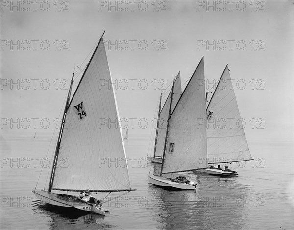 Bouncer, Spunk, Lobster, and Kazaza, 1899 July 22. Creator: John S Johnston.