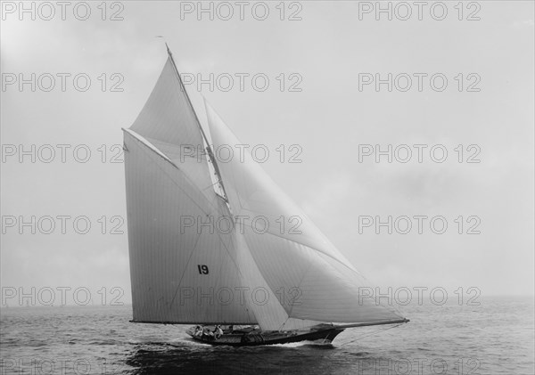 Nautilus, 1891 June 16. Creator: John S Johnston.