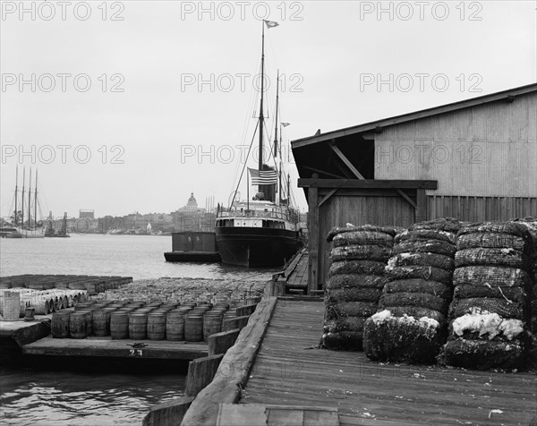 Cotton docks, Savannah, Ga., c1907. Creator: Unknown.