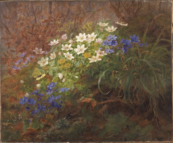 Anemones, 1867. Creator: Anthonie Leonore Christensen.