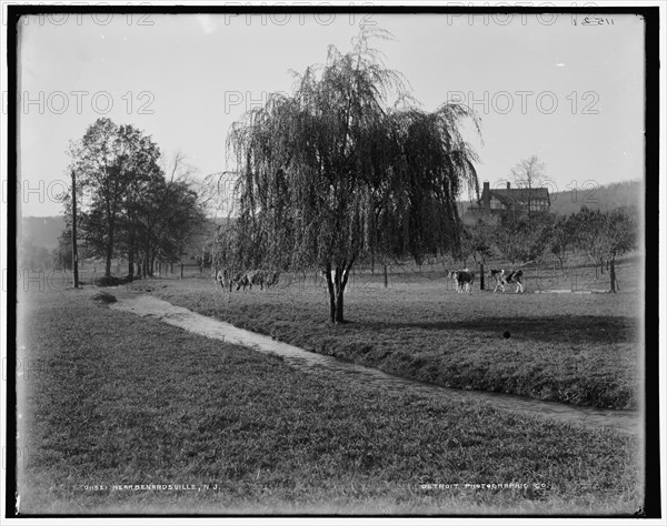 Near Bernardsville, N.J., between 1890 and 1901. Creator: Unknown.