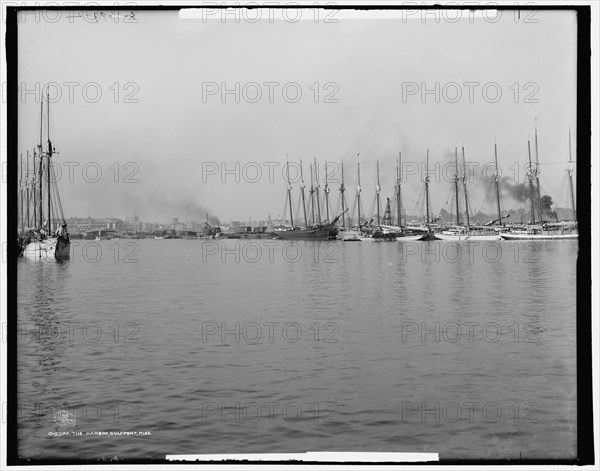 The Harbor, Gulfport, Miss., c1906. Creator: Unknown.