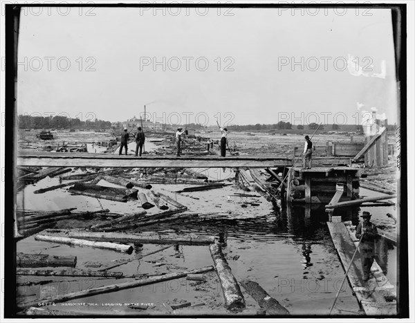 Menominee, Mich., logging on the river, c1898. Creator: Unknown.