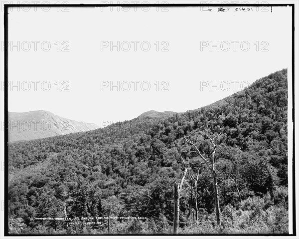 Mt. Webster, Mt. Avalon and Mt. Tom from Mt. Echo, White Mountains, between 1890 and 1901. Creator: Unknown.