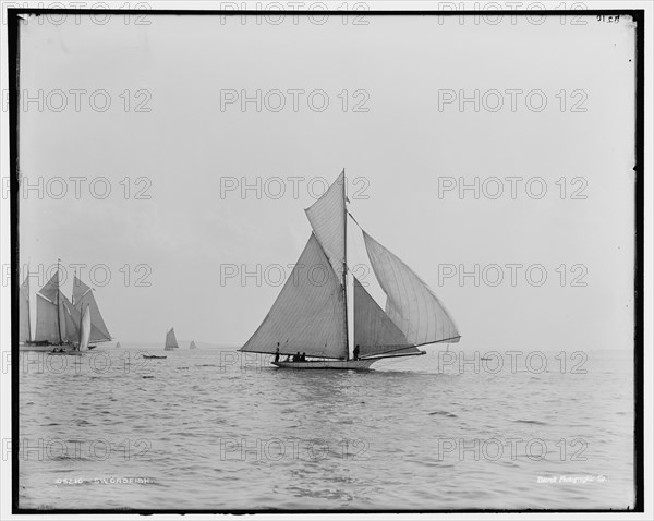 Swordfish, between 1880 and 1899. Creator: Unknown.