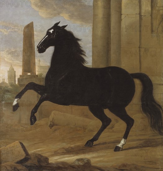 Favourite, one of King Karl XI's riding horses, 1689. Creator: David Klocker Ehrenstrahl.