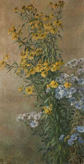 Autumn Flowers, Helenium and New York Aster, 1910. Creator: Gunnar Wennerberg.