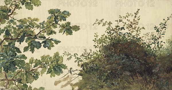 Study of Vegetation, mid-19th century. Creator: Kilian Christoffer Zoll.