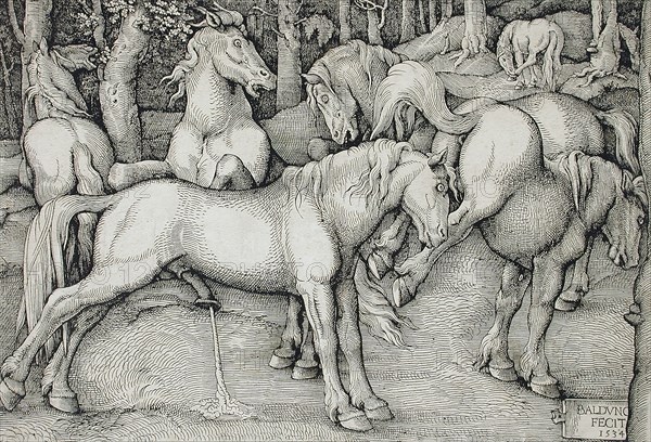 Stallion and Kicking Mare with Wild Horses, 1534. Creator: Hans Baldung.