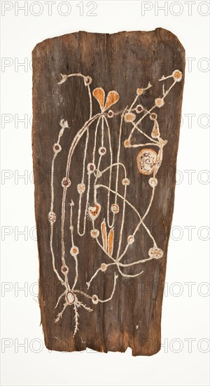 Bark Painting, 1900. Creator: Paddy Compass Namatbara.