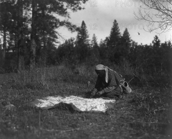 Drying Piahe-Yakima, 1909, c1910. Creator: Edward Sheriff Curtis.