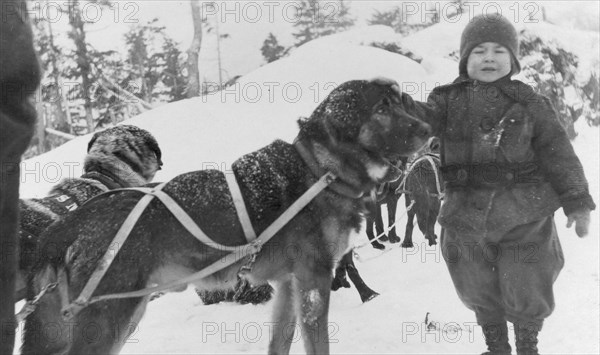 Child and dogs, between c1900 and c1930. Creator: Unknown.