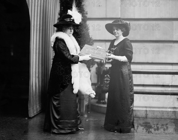 Mrs. Linthicum and Mrs. Stephen [i.e. Steven] Ayres, (1912?). Creator: Bain News Service.