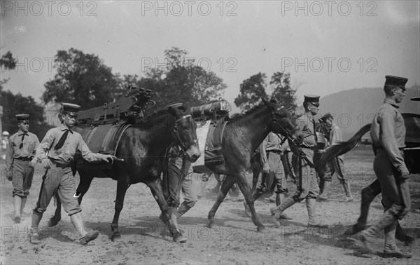 West Point Mountain Gun Squad, 1913. Creator: Bain News Service.