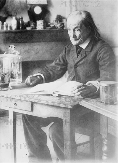 Jean Henri Fabre, between c1910 and c1915. Creator: Bain News Service.