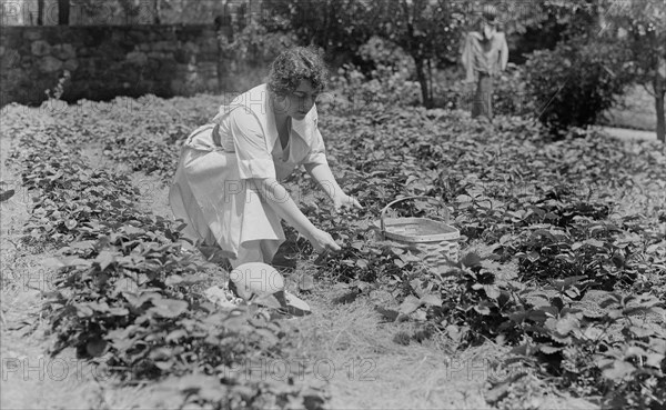 Frances Alda, between c1915 and c1920. Creator: Bain News Service.