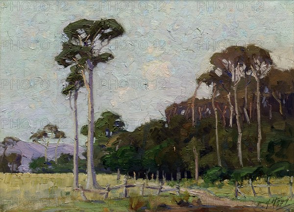 Bartons Bush, Trentham, 1917. Creator: Ernest George Hood.