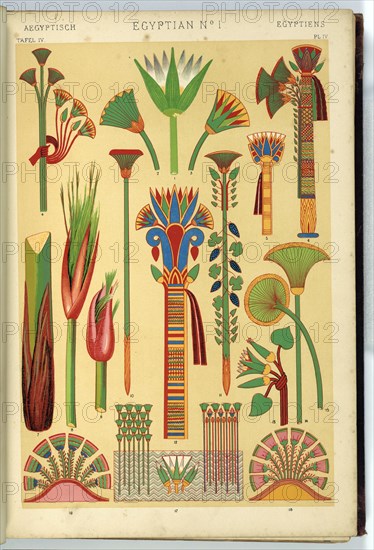 Egyptian Ornament (1). The Lotus and Papyrus. Plate 4 from the book: The grammar of ornament, 1868. Creator: Owen Jones.