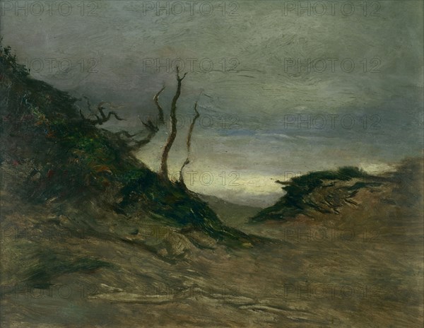 Landscape with bare trees, (c1880s) Creator: Petrus van der Velden.