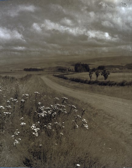 Near Ashburton, c1920-1946. Creator: Thelma Kent.