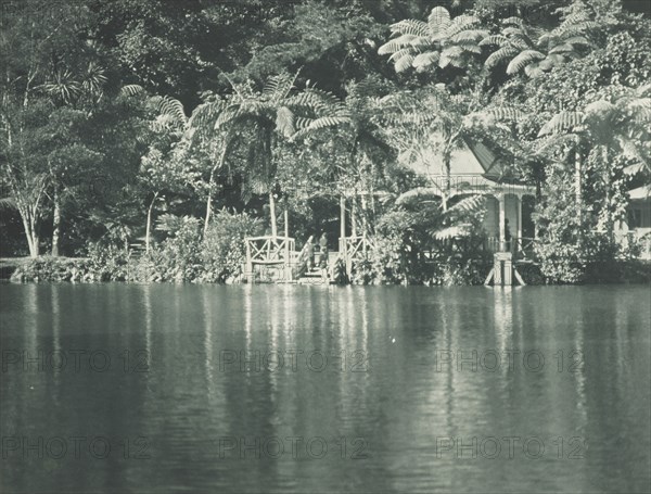 In the New Plymouth Recreation Grounds. From the album: Record Pictures of New Zealand, 1920s. Creator: Harry Moult.