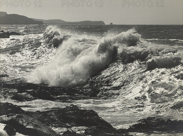 Force unfurling,c1920-1946. Creator: Thelma Kent.