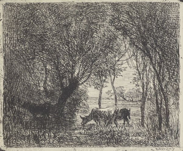 Cows in woods, 1862. Creator: Charles Francois Daubigny.