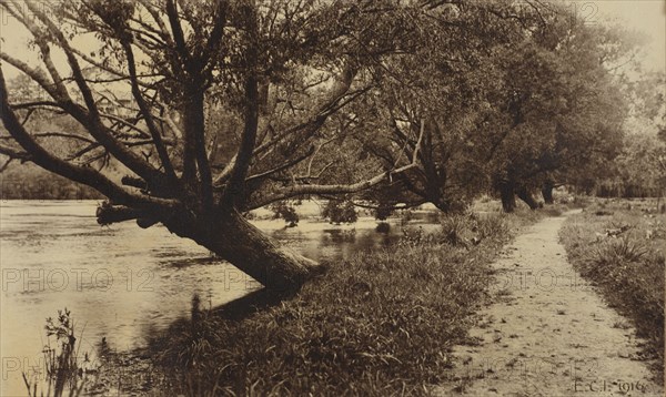 By the Waikato, 1916. Creator: ECI.