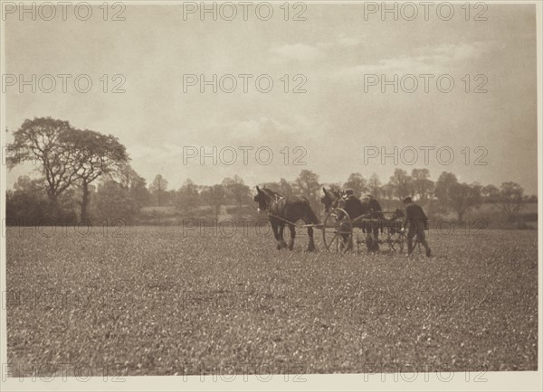 On the farm. From the album: Photograph album - England, 1920s. Creator: Harry Moult.