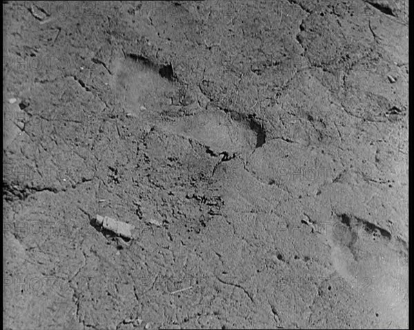 Footprint Outside American Aviator Charles Augustus Lindbergh's House During a Kidnapping..., 1930s. Creator: British Pathe Ltd.