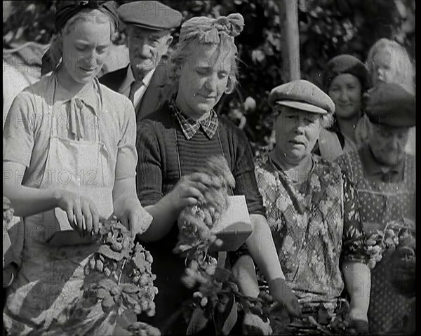 Several Women Picking Hops With Two of Them Wearing Their Gas Masks in a Box Around Their Necks,1939 Creator: British Pathe Ltd.