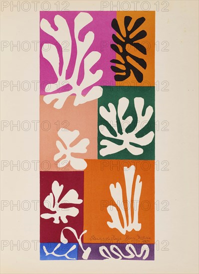 Fleurs de neige, 1951. Creator: Matisse; Henri (1869-1954).