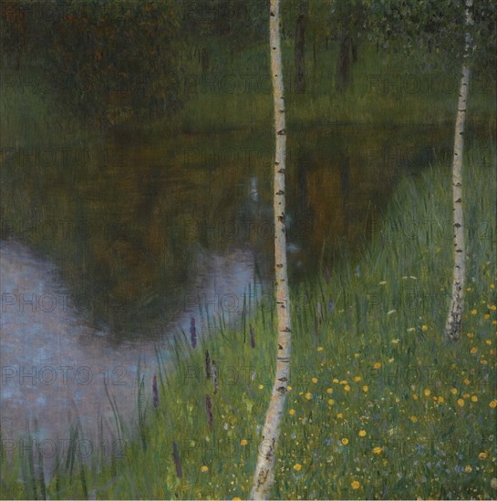 Seeufer mit Birken (Lakeshore with birches), 1901. Creator: Klimt; Gustav (1862-1918).