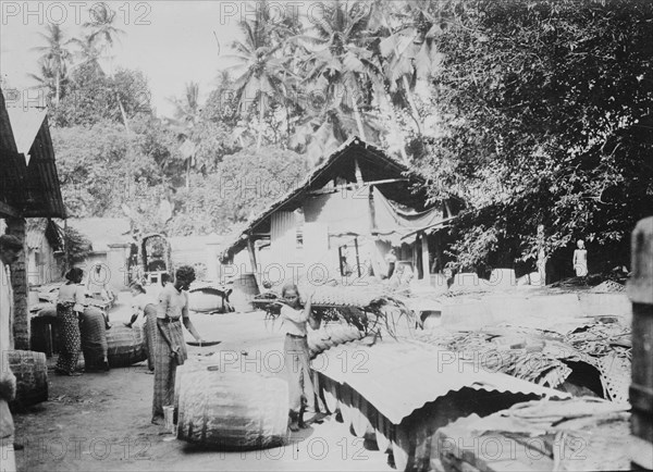 Java, shipping Plumbago, between c1915 and c1920. Creator: Bain News Service.