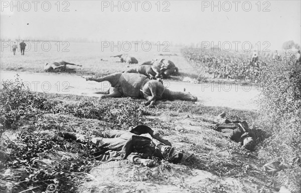 Corner of battlefield, Haelen, 1914. Creator: Bain News Service.