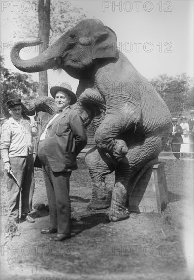 Stewart & elephant, between c1915 and c1920. Creator: Bain News Service.