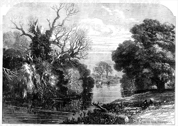 View in Tichborne Park, Alresford, Hants, 1871. Creator: Unknown.