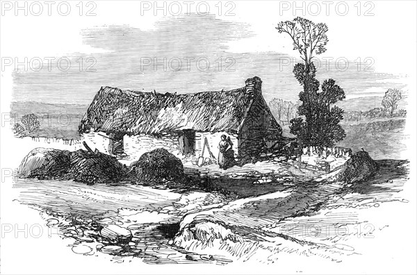 Sketches from Ireland: Mike Brannan's cabin in the Hundred Acres Bog, 1870. Creator: Unknown.