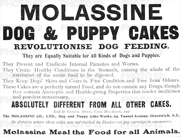 Molassine Dog & Puppy Cakes revolutionise dog feeding - equally suitable for all kinds of dogs, 1909 Creator: Unknown.