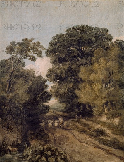 A Herefordshire Lane, c1810-1859. Creator: David Cox the Elder.