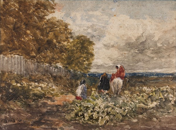 The Edge of the Wood, c1830s. Creator: David Cox the Elder.