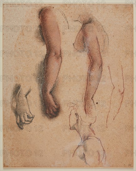 The Evening Star - Studies of the Figure's Right Arm, 1869-70. Creator: Sir Edward Coley Burne-Jones.