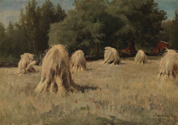 Stacks of Rye, 1877. Creator: Hjalmar Munsterhjelm.