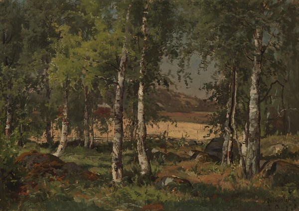 Landscape with Birch Grove and Rye Field, 1876. Creator: Hjalmar Munsterhjelm.