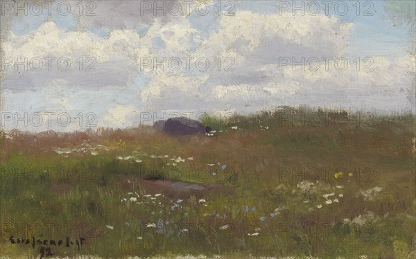 Meadow with Summer Flowers, 1892. Creator: Eero Jarnefelt.