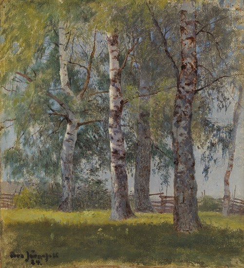 Birches, 1884. Creator: Eero Jarnefelt.