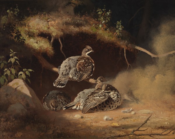 Hazel Grouse Wallowing in Sand, 1877. Creator: Ferdinand von Wright.