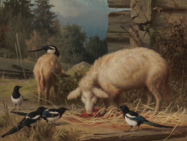 Pigs and Magpies, 1875. Creator: Ferdinand von Wright.