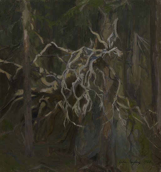 Broken Hollow Pine, 1905. Creator: Gabriel Engberg.